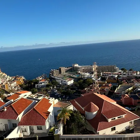 Views * Табайба